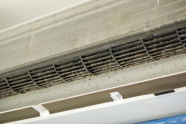 Best Ductwork Cleaning Services  in Westover, WV