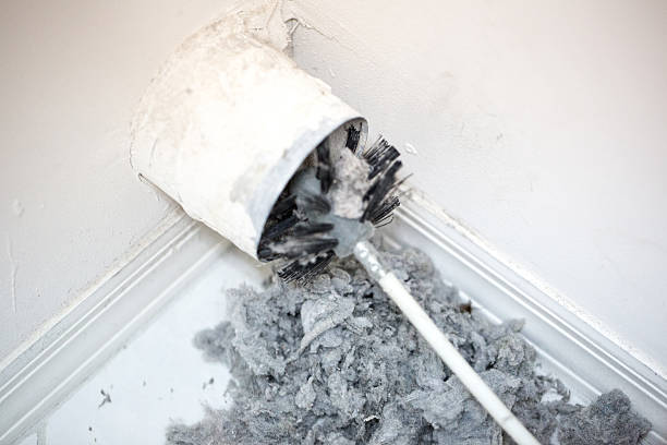 Air Duct Mold Removal in Westover, WV